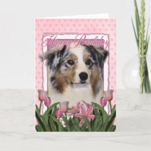 Happy Birthday - Pink Tulips - Australian Shepherd Card