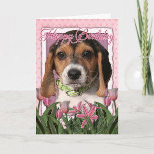 Happy Birthday - Pink Tulips - Beagle Puppy Card
