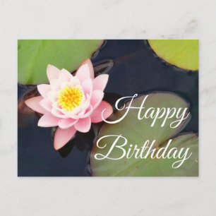 Happy Birthday Pink Water Lily #1 Postcard