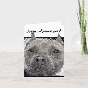 Happy Birthday Pitbull Dog Greeting card