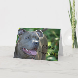 Happy birthday Pitbull dog greeting card