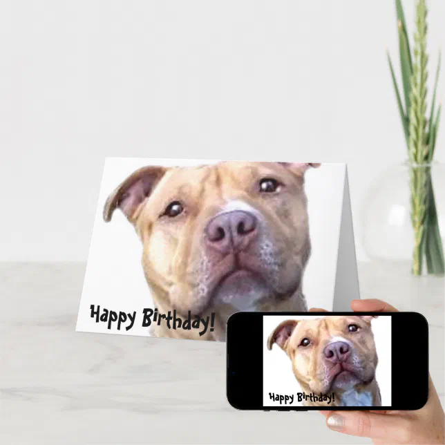 Happy Birthday Pitbull greeting card | Zazzle