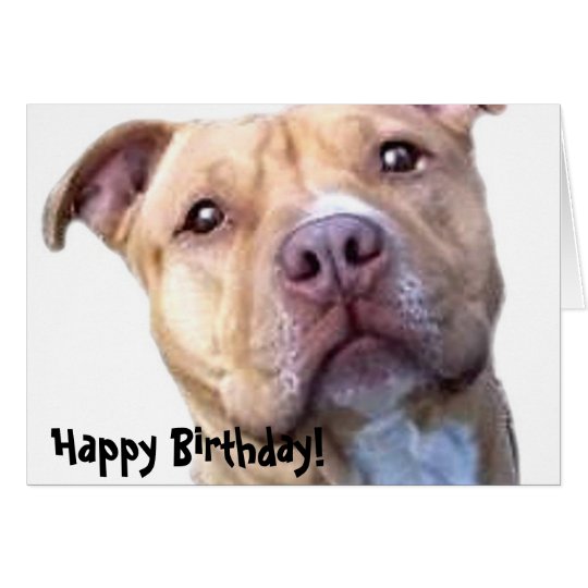 Happy Birthday Pitbull greeting card | Zazzle.com.au