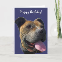 Happy Birthday Pitbull greeting card