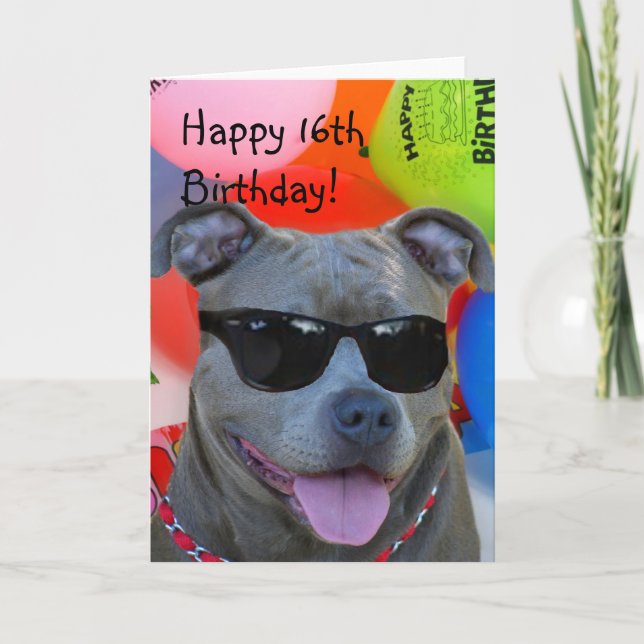 Happy Birthday Pitbull greeting card (Front)
