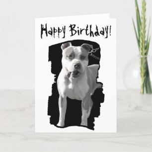 Happy birthday pitbull greeting card