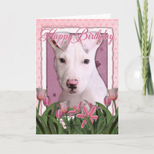 Happy Birthday - Pitbull - Petey Card