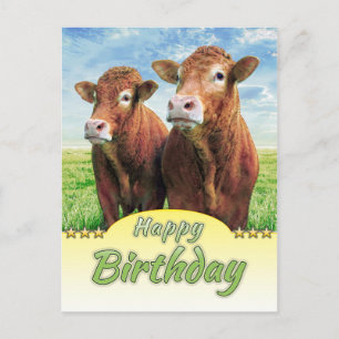 Happy Birthday Postcard