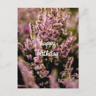 Happy Birthday Postcard Heather Flowers Photograph