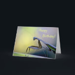 Happy Birthday Praying Mantis Card<br><div class="desc">This birthday card features a praying mantis posing for his portrait.</div>