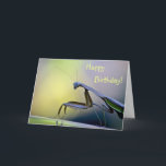 Happy Birthday Praying Mantis Card<br><div class="desc">This birthday card features a praying mantis posing for his portrait.</div>