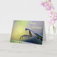 Happy Birthday Praying Mantis