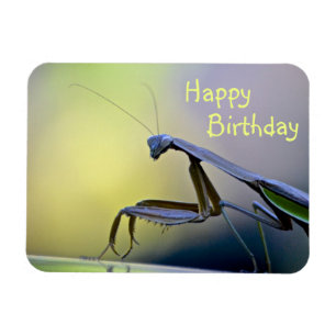 Happy Birthday Praying Mantis Magnet