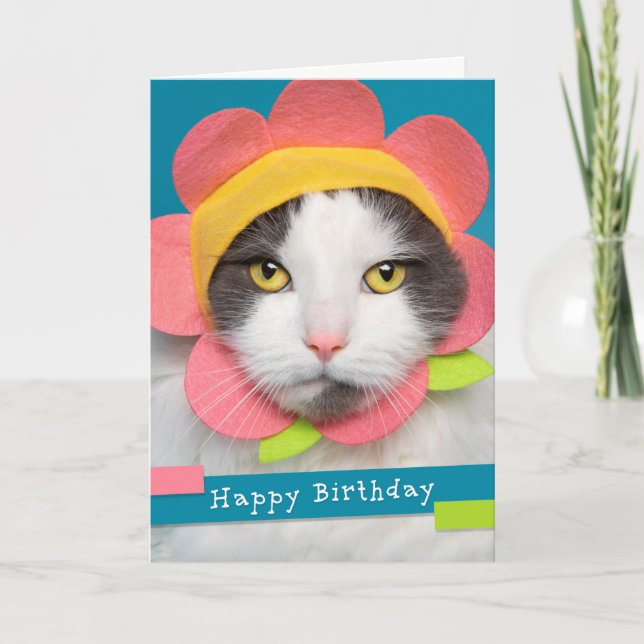 Happy Birthday Pretty Cat in a Flower Hat Humour Holiday Card (Front)