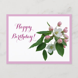 Happy Birthday pretty pink blossom floral Postcard