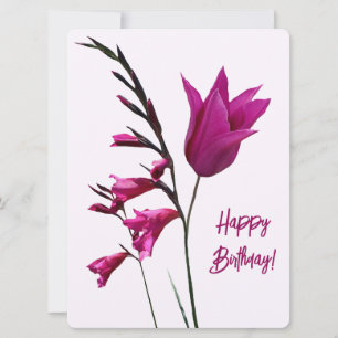 Happy birthday pretty pink tulip floral colourful holiday card