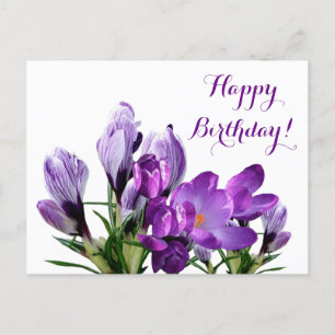 Happy Birthday pretty purple crocus flowers floral Postcard