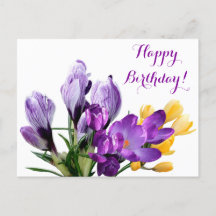 Happy Birthday pretty purple yellow crocus floral