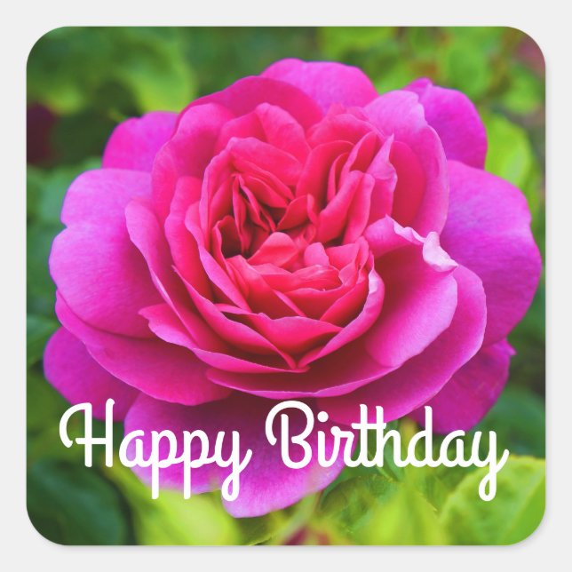 Happy Birthday Princess Anne Rose #1 Stickers (Front)