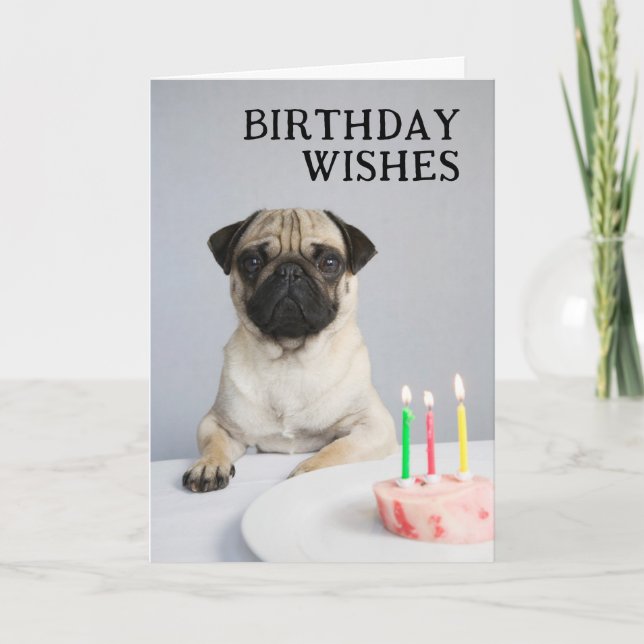 Happy Birthday Pug Card (Front)