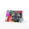 Happy birthday pug dog greeting card
