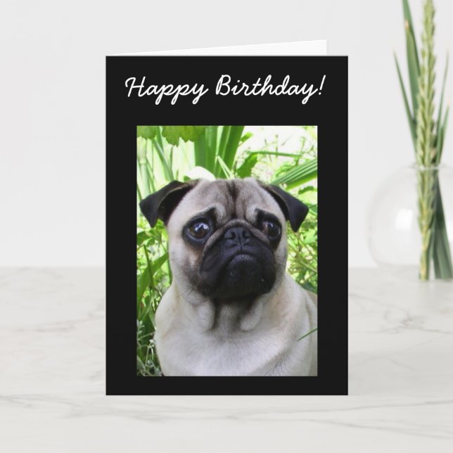 Happy Birthday Pug greeting card (Front)
