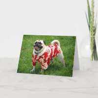 Happy Birthday Pug in Hawaiian Shirt