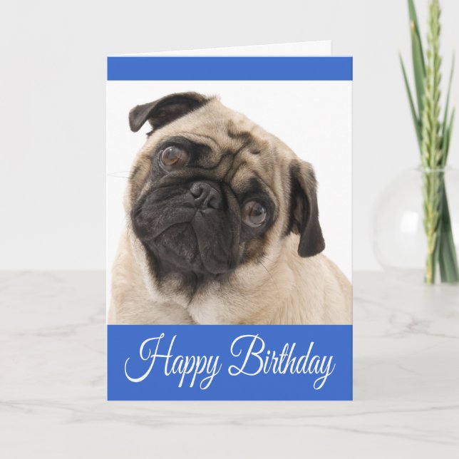 Happy Birthday Pug Puppy Dog Blue Greeting Card (Front)
