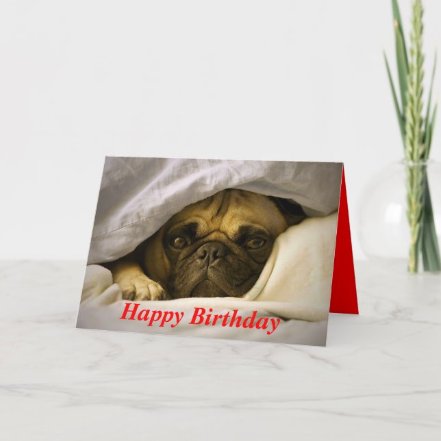 Happy Birthday Pug Puppy Dog Greeting Card (Front)