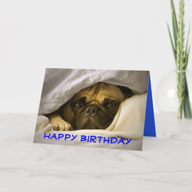 Happy Birthday Pug Puppy Dog Greeting Card (Front)