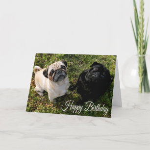 Happy Birthday Pug Puppy Dog Greeting Card