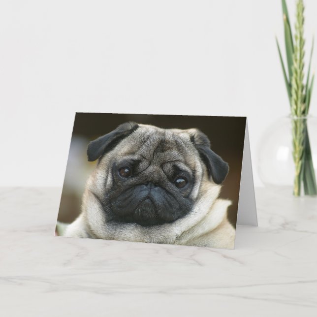 Happy Birthday Pug Puppy Dog Greeting Card - Verse (Front)