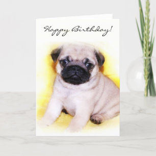 Happy Birthday Pug Puppy greeting card