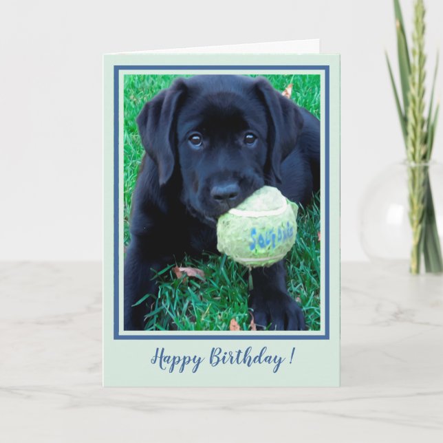 Happy Birthday Puppy Black Labrador - Cute Dog Card (Front)