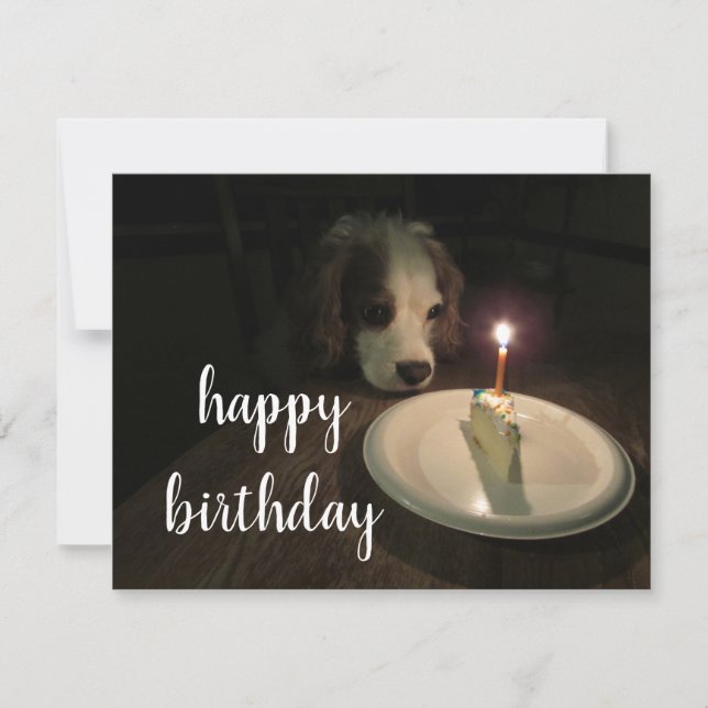 Happy Birthday Puppy | Blank Greeting Card (Front)