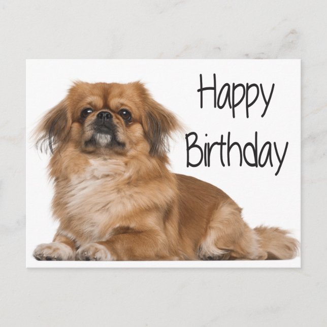 Happy Birthday Puppy Dog Black Postcard (Front)