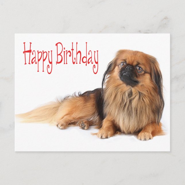 Happy Birthday Puppy Dog Red Postcard (Front)