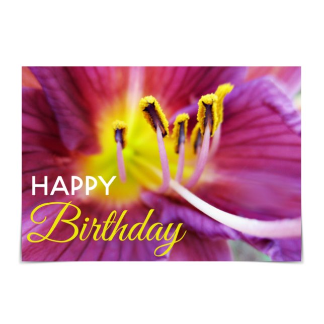 "Happy Birthday" Purple and Yellow Daylily Card (Happy Birthday! This card features a purple and yellow lily.)