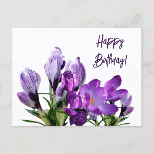 Happy Birthday purple crocuses flowers boho cute Postcard