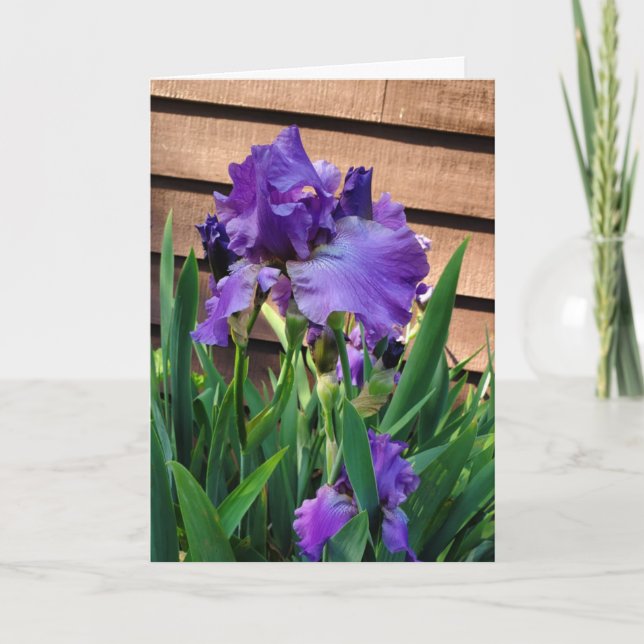Happy Birthday | Purple Iris Card (Front)
