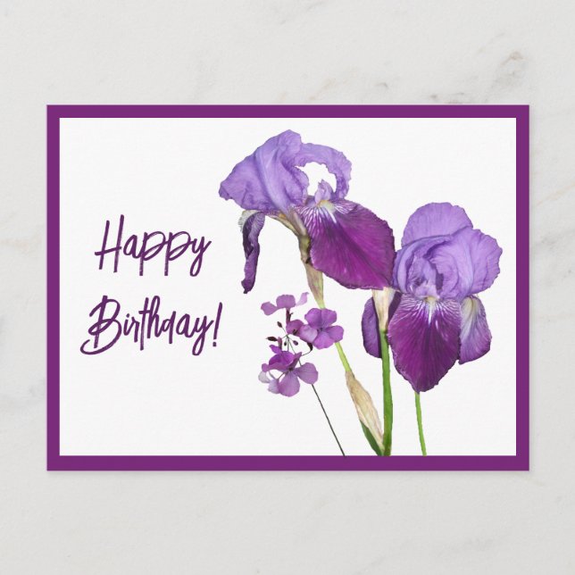 Happy Birthday purple irises beautiful floral cute Postcard (Front)