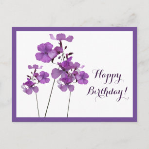 Happy Birthday purple Scottish wild flowers boho Postcard