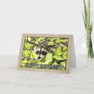 Happy Birthday Racoon In Tree Card