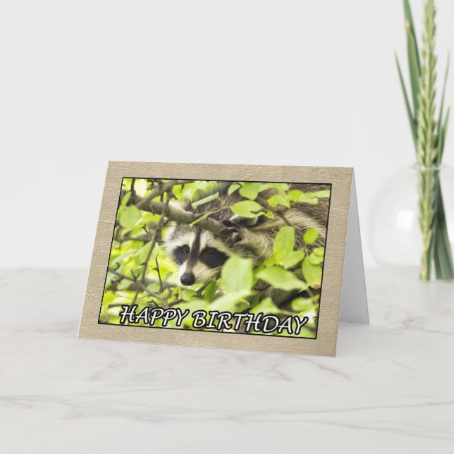 Happy Birthday Racoon In Tree Card (Front)