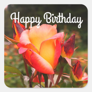 Happy Birthday Rainbow Sorbet Rose #1 Stickers