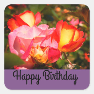 Happy Birthday Rainbow Sorbet Rose #2 Stickers