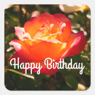 Happy Birthday Rainbow Sorbet Rose #5 Stickers