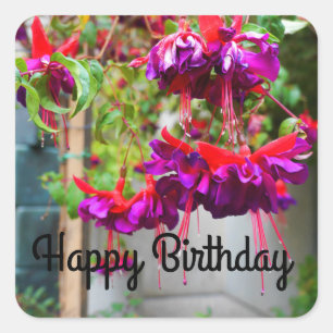 Happy Birthday Red and Purple Fuchsia #1 Stickers