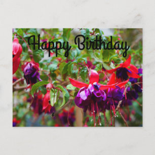Happy Birthday Red and Purple Fuchsia #2 Postcard