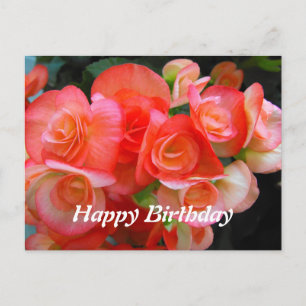 happy birthday red begonia flowers postcard